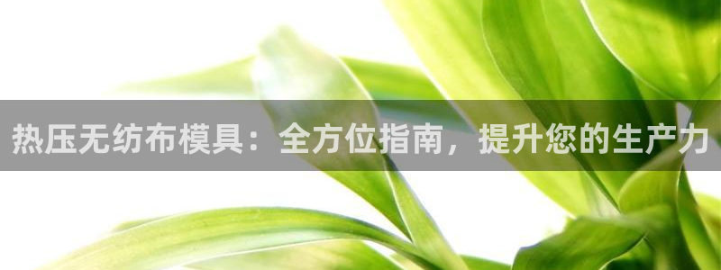 易倍申能长期吃吗：热压无纺布模具：全方位指南，提升您的生