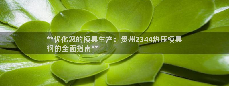 易倍单词登录平台：**优化您的模具生产：贵州2344热压