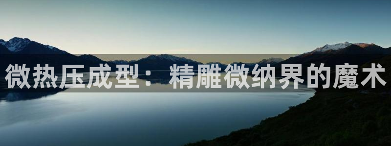 emc服务器是什么：微热压成型：精雕微纳界的魔术