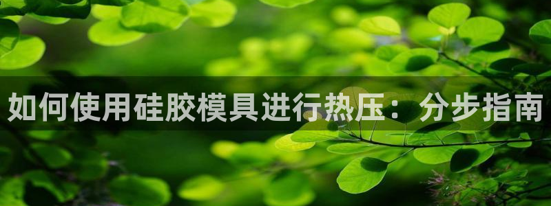 emc app下载：如何使用硅胶模具进行热压：分步指南