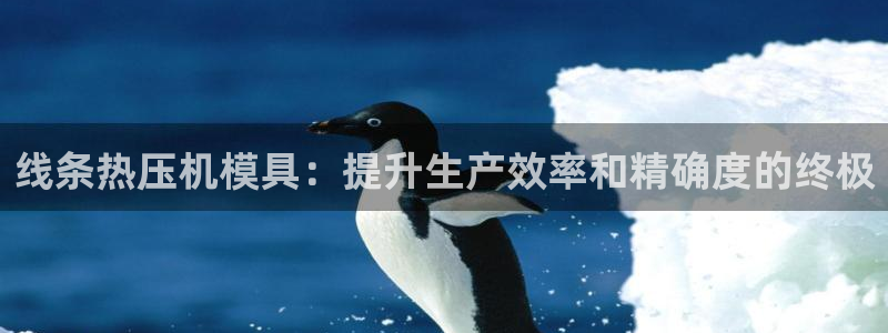 emc易倍网页版：线条热压机模具：提升生产效率和精确度的