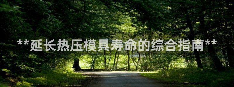 杭州易倍达：**延长热压模具寿命的综合指南**