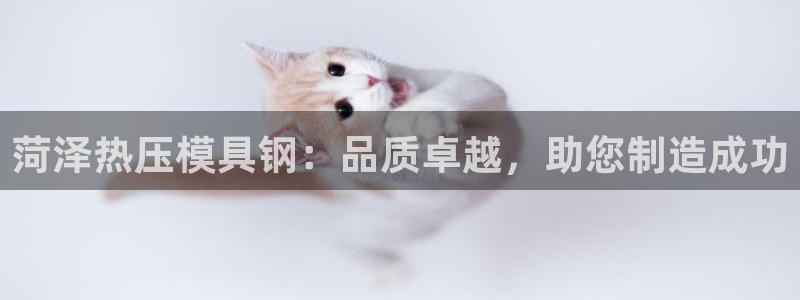 emc易倍官方平：菏泽热压模具钢：品质卓越，助您制造成功