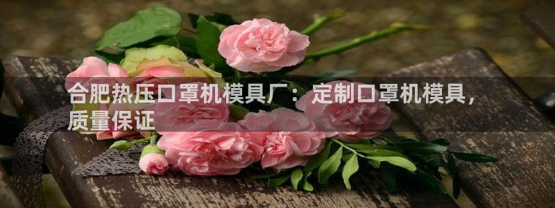 emc32软件：合肥热压口罩机模具厂：定制口罩机模具，
