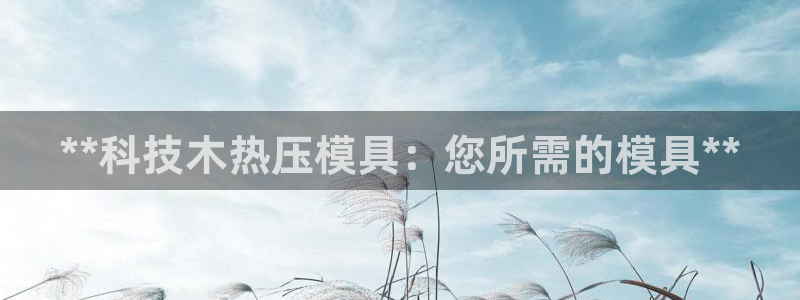 易倍纤使用方法：**科技木热压模具：您所需的模具**