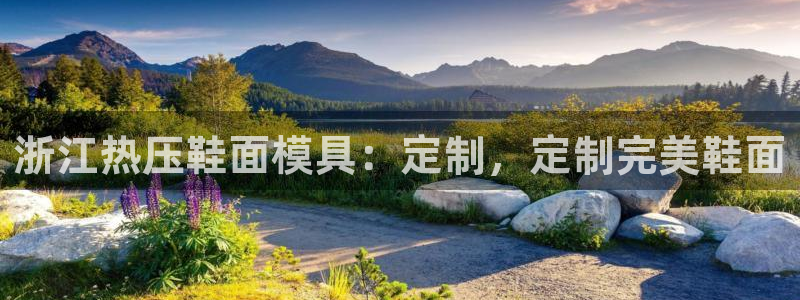 emc易倍官方下载：浙江热压鞋面模具：定制，定制完美鞋面
