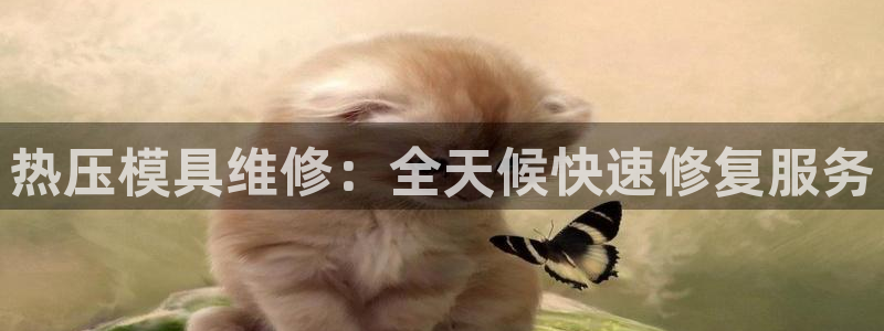 emc易倍穆里尼奥：热压模具维修：全天候快速修复服务