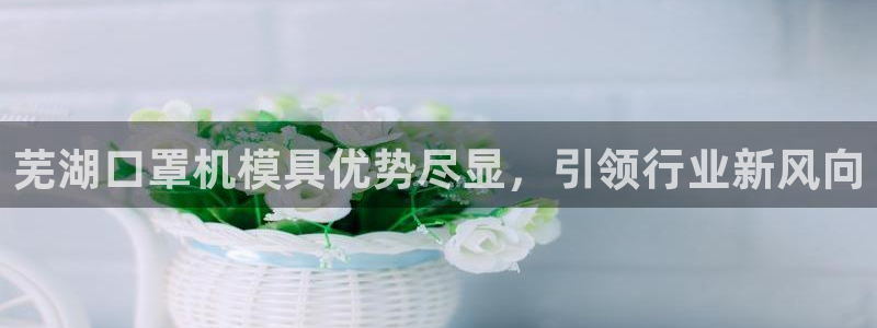 emc易倍穆里尼奥：芜湖口罩机模具优势尽显，引领行业新风