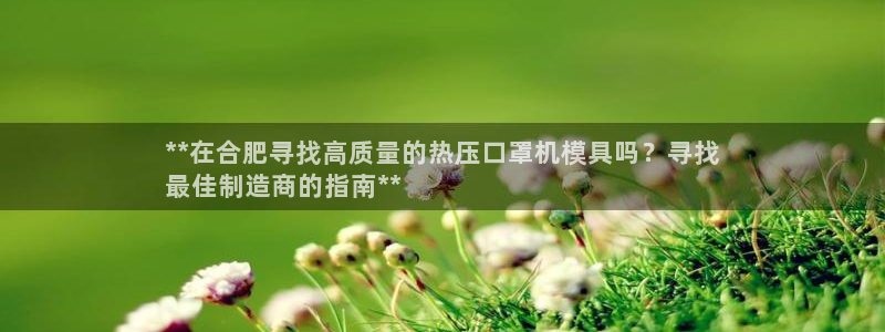 emc易倍最新链接：**在合肥寻找高质量的热压口罩机模具
