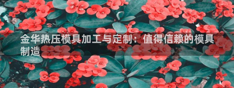 emc倍频干扰：金华热压模具加工与定制：值得信赖的模具
