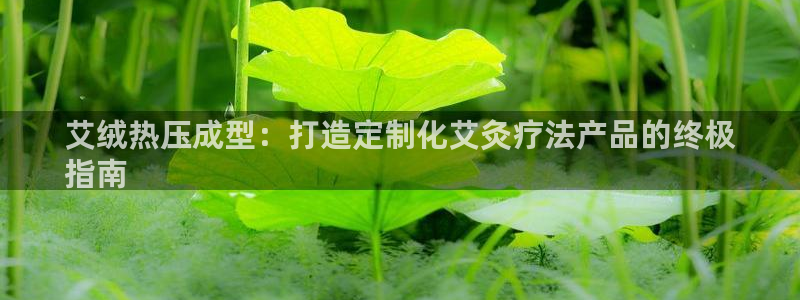 易倍单词官方网站下载安卓：艾绒热压成型：打造定制化艾灸疗