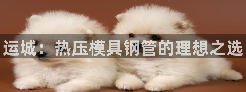 易倍纤酵素效果好吗：运城：热压模具钢管的理想之选