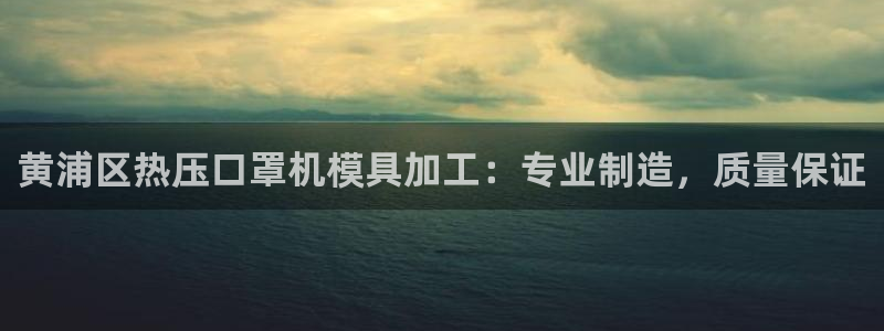 易倍单词app下载：黄浦区热压口罩机模具加工：专业制造，
