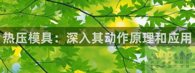 emc备份软件：热压模具：深入其动作原理和应用