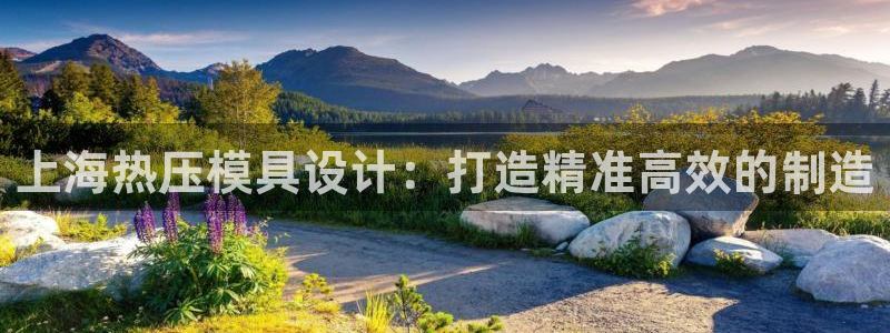 易倍申是进口药吗：上海热压模具设计：打造精准高效的制造