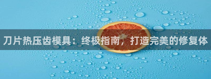 杭州易倍达科技有限公司怎么样：刀片热压齿模具：终极指南，