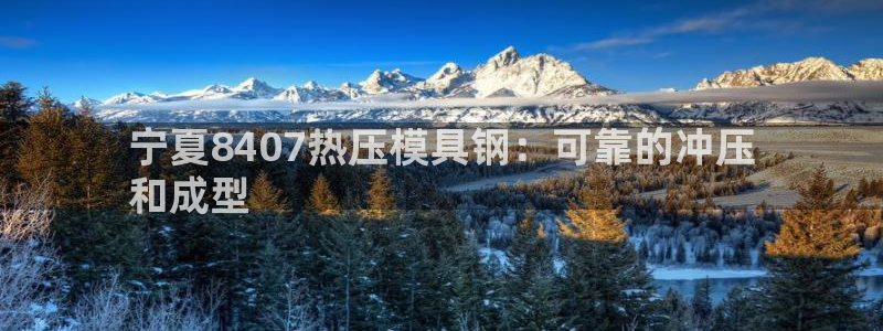 易倍单词如何下载：宁夏8407热压模具钢：可靠的冲压
和