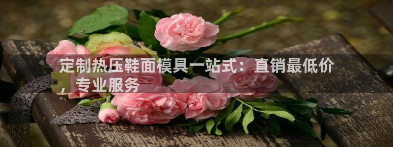 易倍单词平台：定制热压鞋面模具一站式：直销最低价
，专业