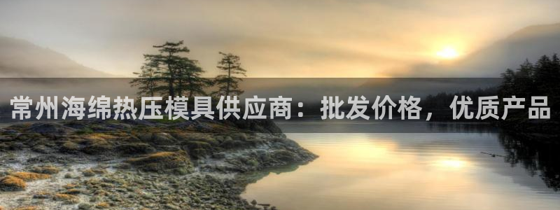 易倍单词如何下载：常州海绵热压模具供应商：批发价格，优质