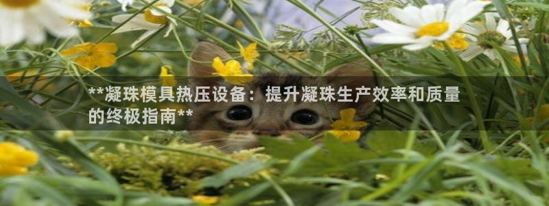 易倍单词登录网站：**凝珠模具热压设备：提升凝珠生产效率