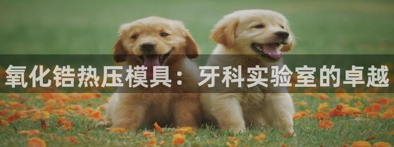 emc易倍怎么样：氧化锆热压模具：牙科实验室的卓越