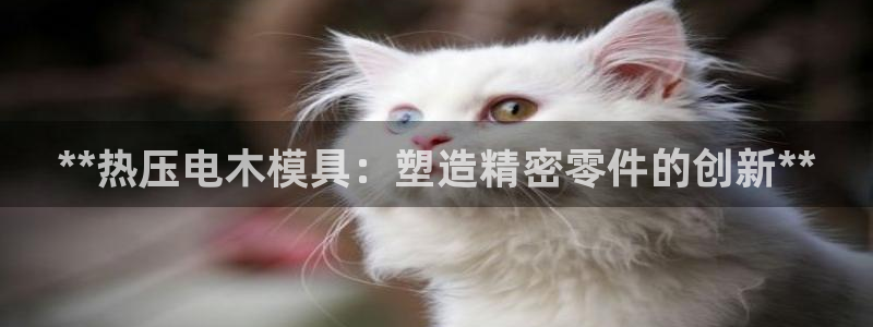 emc易倍官网登录入口：**热压电木模具：塑造精密零件的