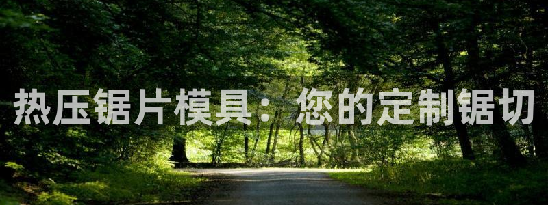 emc频率范围：热压锯片模具：您的定制锯切