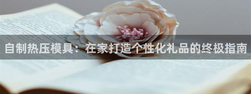 易倍申片：自制热压模具：在家打造个性化礼品的终极指南