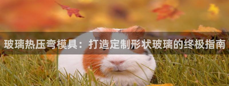 emc备份软件：玻璃热压弯模具：打造定制形状玻璃的终极指