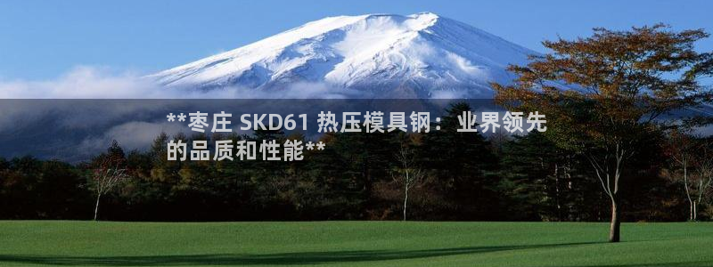 杭州易倍达：**枣庄 SKD61 热压模具钢：业界领先
