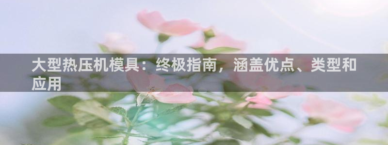 易倍电竞安装教程：大型热压机模具：终极指南，涵盖优点、类