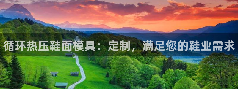 Emc易赔体育：循环热压鞋面模具：定制，满足您的鞋业需求