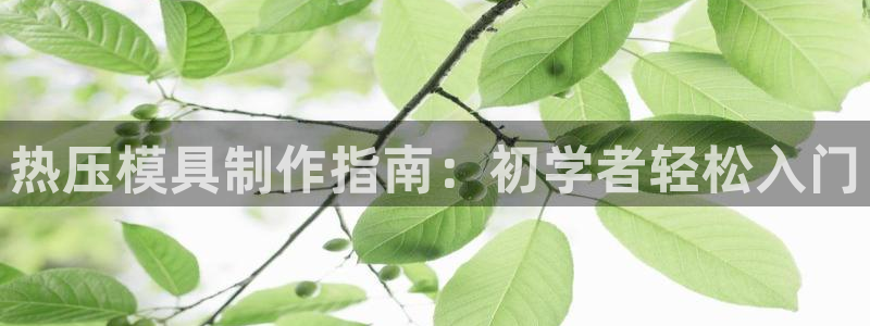 易倍思怎么样：热压模具制作指南：初学者轻松入门