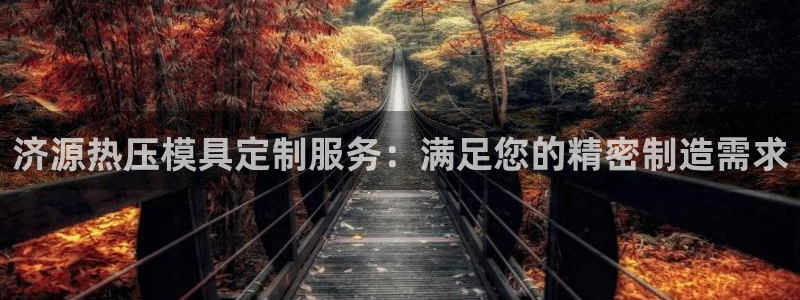 易倍纤减肥价格：济源热压模具定制服务：满足您的精密制造需