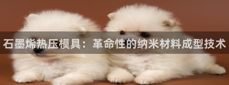 易倍申是进口药吗：石墨烯热压模具：革命性的纳米材料成型技
