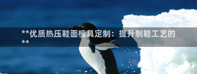 易倍网页版登录：**优质热压鞋面模具定制：提升制鞋工艺的