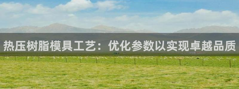 易倍申厂家：热压树脂模具工艺：优化参数以实现卓越品质