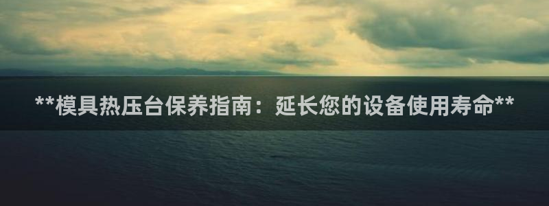 易倍达科技有限公司官网：**模具热压台保养指南：延长您的