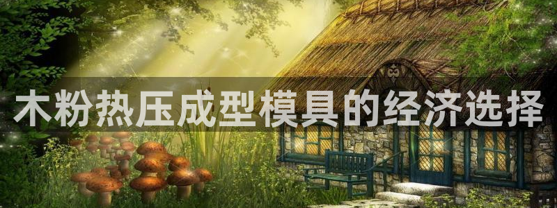 易倍达怎么样：木粉热压成型模具的经济选择