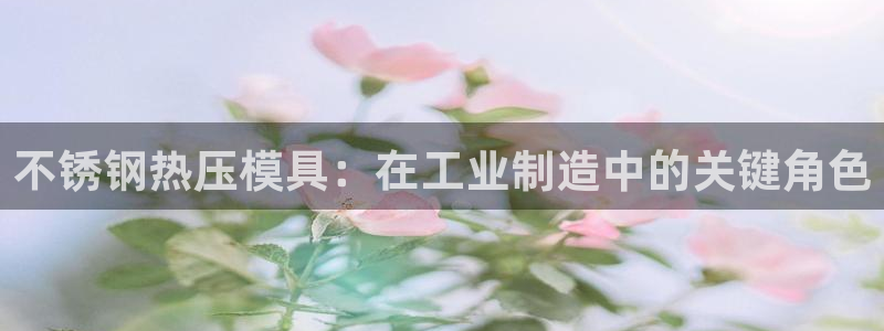 易倍申的包装规格：不锈钢热压模具：在工业制造中的关键角色