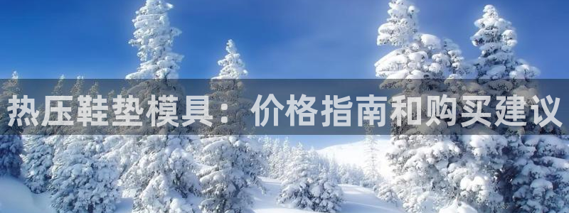 emc倍频超了：热压鞋垫模具：价格指南和购买建议