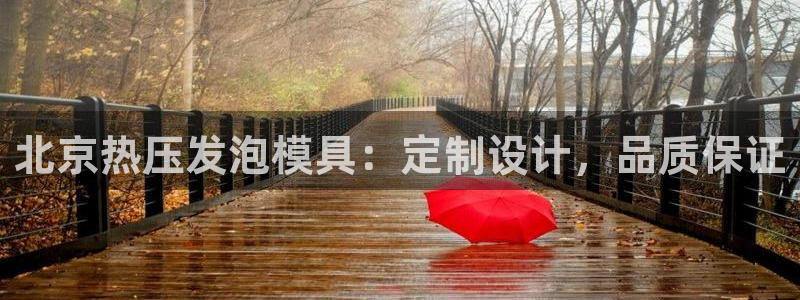 emc倍频超了：北京热压发泡模具：定制设计，品质保证