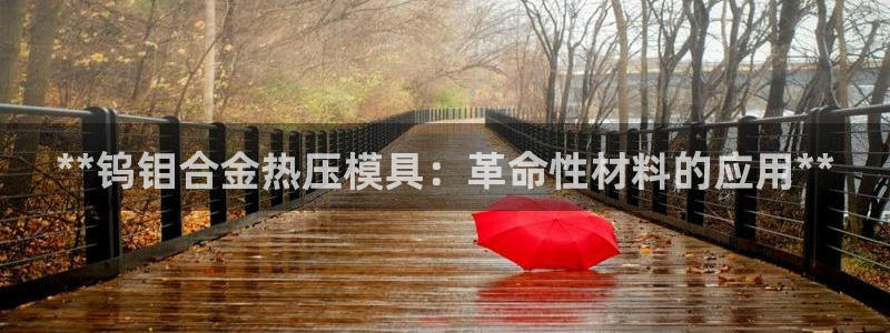 emc易倍出空款：**钨钼合金热压模具：革命性材料的应用
