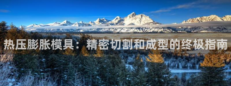 易倍易趣网：热压膨胀模具：精密切割和成型的终极指南
