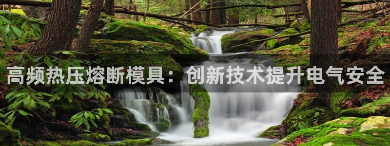 四川易倍易企业管理有限公司：高频热压熔断模具：创新技术提