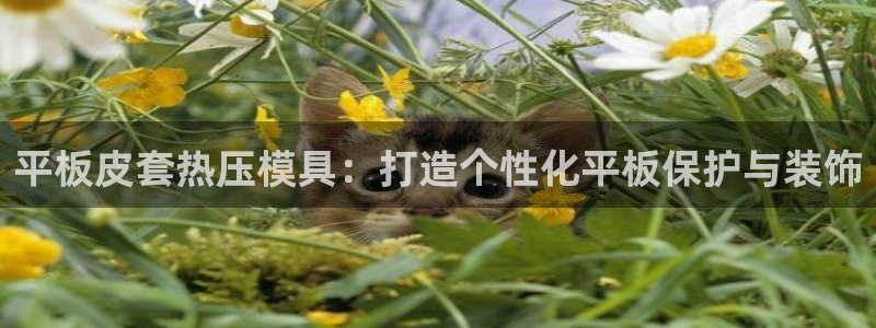 易倍网页版登录：平板皮套热压模具：打造个性化平板保护与装