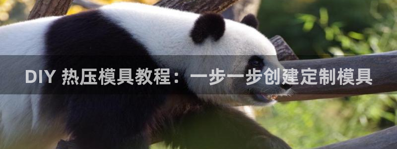易倍企业管理软件怎么样：DIY 热压模具教程：一步一步创