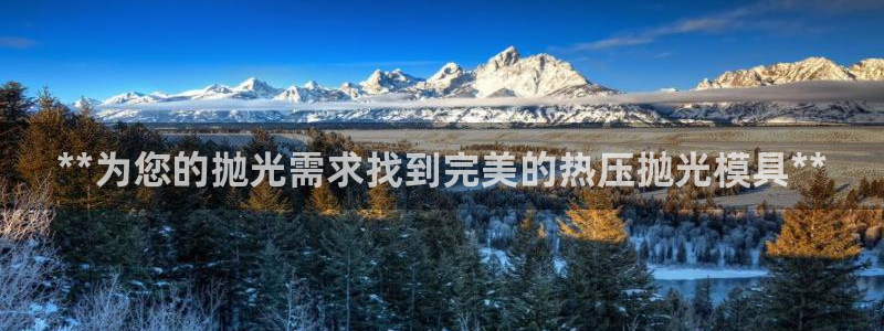 emc易倍全站：**为您的抛光需求找到完美的热压抛光模具