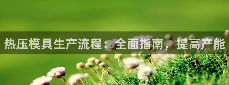 易倍申竞品：热压模具生产流程：全面指南，提高产能