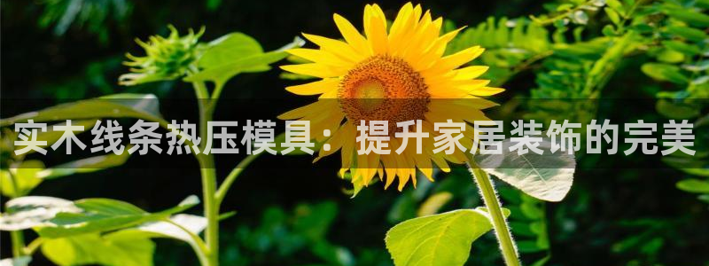 emc易倍官网app：实木线条热压模具：提升家居装饰的完